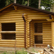 Виды древесины для постройки бани